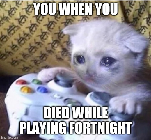 Dont cry kitty | YOU WHEN YOU; DIED WHILE PLAYING FORTNIGHT | image tagged in sad gaming cat,sad,video games | made w/ Imgflip meme maker