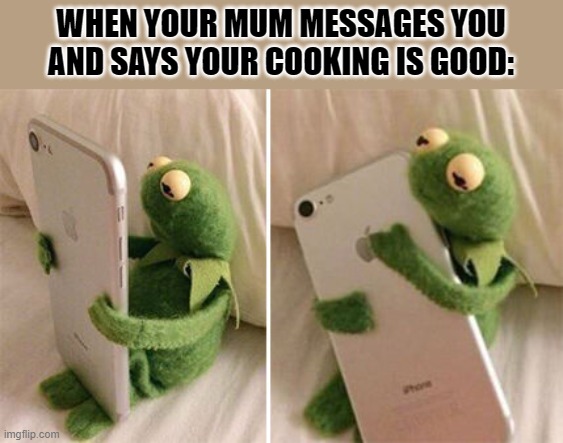 Kermit Hugging Phone | WHEN YOUR MUM MESSAGES YOU AND SAYS YOUR COOKING IS GOOD: | image tagged in kermit hugging phone | made w/ Imgflip meme maker