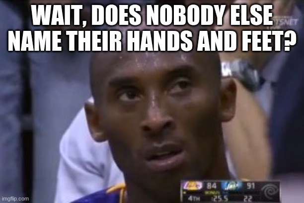 No one? | WAIT, DOES NOBODY ELSE NAME THEIR HANDS AND FEET? | image tagged in memes,questionable strategy kobe | made w/ Imgflip meme maker