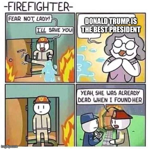 Firefighter | DONALD TRUMP IS THE BEST PRESIDENT | image tagged in firefighter | made w/ Imgflip meme maker