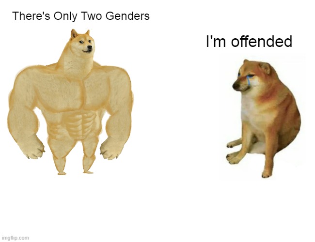 Buff Doge vs. Cheems | There's Only Two Genders; I'm offended | image tagged in memes,buff doge vs cheems,2 genders,offended,generation z,2021 | made w/ Imgflip meme maker