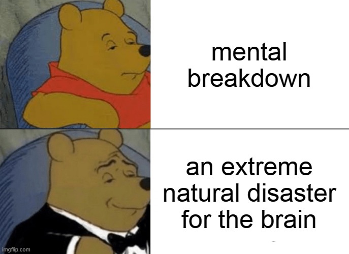 Tuxedo Winnie The Pooh | mental breakdown; an extreme natural disaster for the brain | image tagged in memes,tuxedo winnie the pooh | made w/ Imgflip meme maker