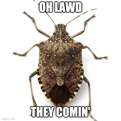 OH LAWD; THEY COMIN' | made w/ Imgflip meme maker