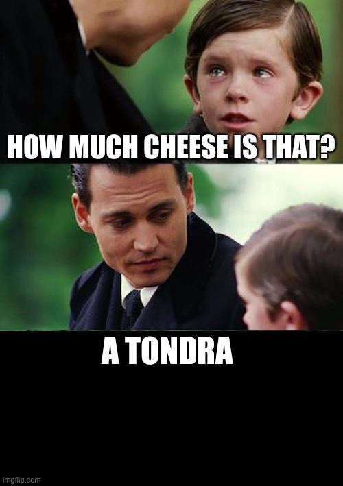HOW MUCH CHEESE IS THAT? A TONDRA | made w/ Imgflip meme maker