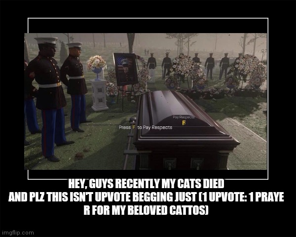 My cattos | HEY, GUYS RECENTLY MY CATS DIED AND PLZ THIS ISN'T UPVOTE BEGGING JUST (1 UPVOTE: 1 PRAYE
R FOR MY BELOVED CATTOS) | image tagged in rip,cats,death | made w/ Imgflip meme maker