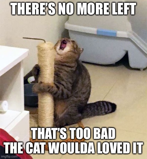 Over Dramatic Cat | THERE’S NO MORE LEFT THAT’S TOO BAD THE CAT WOULDA LOVED IT | image tagged in over dramatic cat | made w/ Imgflip meme maker