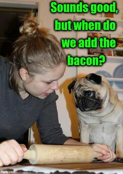 Sounds good, but when do; we add the; bacon? | image tagged in dogs | made w/ Imgflip meme maker