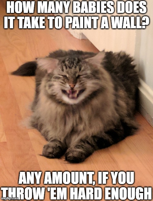 HOW MANY BABIES DOES IT TAKE TO PAINT A WALL? ANY AMOUNT, IF YOU THROW 'EM HARD ENOUGH | image tagged in bad joke cat,dark humor | made w/ Imgflip meme maker