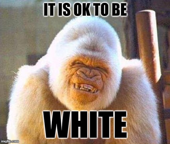 White gorilla | IT IS OK TO BE; WHITE | image tagged in white gorilla | made w/ Imgflip meme maker