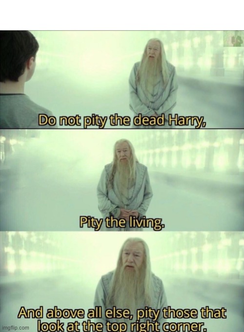I pity you |  DO NOT PITY THE DEAD HARRY, AND ABOVE ALL ELSE, PITY THOSE THAT LOOK AT THE TOP RIGHT CORNER; PITY THE LIVING | image tagged in harry potter | made w/ Imgflip meme maker