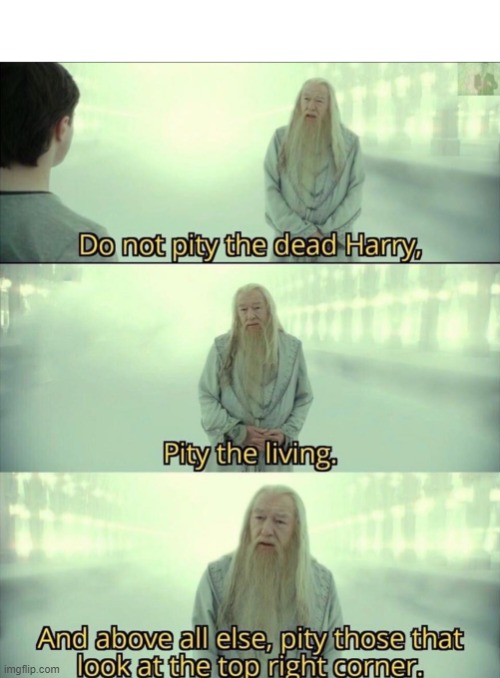 I pity you | DO NOT PITY THE DEAD HARRY, AND ABOVE ALL ELSE, PITY THOSE THAT LOOK AT THE TOP RIGHT CORNER; PITY THE LIVING | image tagged in harry potter | made w/ Imgflip meme maker