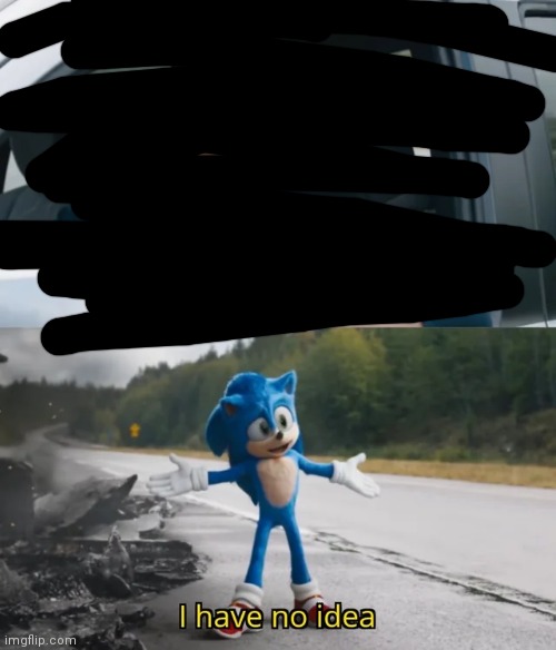 Sonic I have no idea | image tagged in sonic i have no idea | made w/ Imgflip meme maker