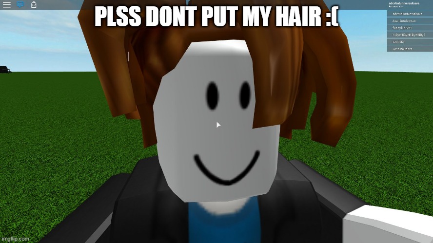 Roblox bacon hair | PLSS DONT PUT MY HAIR :( | image tagged in roblox bacon hair | made w/ Imgflip meme maker