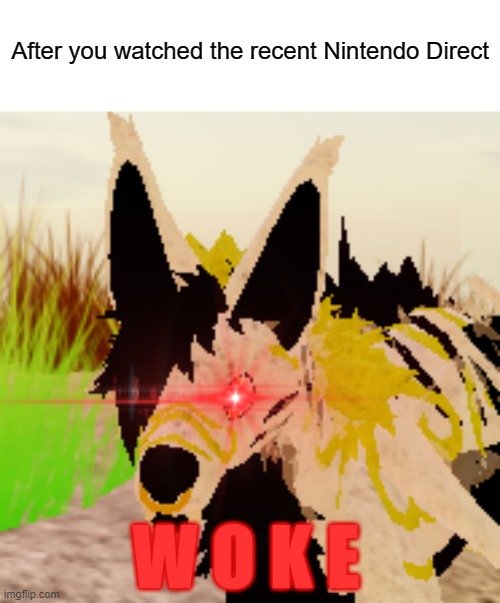 After people have seen the Nintendo Direct | After you watched the recent Nintendo Direct; W O K E | image tagged in woke,memes,roblox,wolf | made w/ Imgflip meme maker