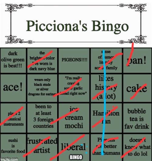 Picciona's Bingo | BINGO | image tagged in picciona's bingo | made w/ Imgflip meme maker