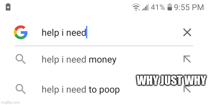 Google go take a hike | WHY JUST WHY | image tagged in google search,poop,help i accidentally | made w/ Imgflip meme maker