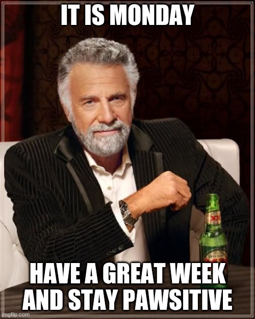 The Most Interesting Man In The World | IT IS MONDAY; HAVE A GREAT WEEK AND STAY POSITIVE | image tagged in memes,the most interesting man in the world | made w/ Imgflip meme maker