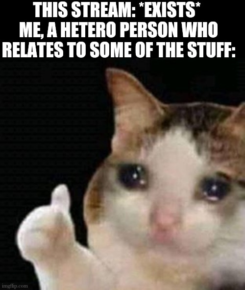 *insert hide the pain Harold* | THIS STREAM: *EXISTS* 
ME, A HETERO PERSON WHO RELATES TO SOME OF THE STUFF: | image tagged in sad thumbs up cat | made w/ Imgflip meme maker