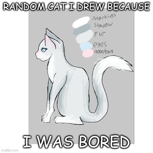 Random Drawing | RANDOM CAT I DREW BECAUSE; I WAS BORED | image tagged in drawings,cats,random,oh wow are you actually reading these tags | made w/ Imgflip meme maker