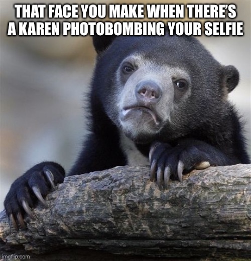 Confession Bear Meme | THAT FACE YOU MAKE WHEN THERE’S A KAREN PHOTOBOMBING YOUR SELFIE | image tagged in memes,confession bear | made w/ Imgflip meme maker