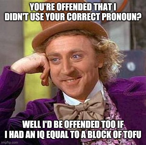 Creepy Condescending Wonka Meme | YOU'RE OFFENDED THAT I DIDN'T USE YOUR CORRECT PRONOUN? WELL I'D BE OFFENDED TOO IF I HAD AN IQ EQUAL TO A BLOCK OF TOFU | image tagged in memes,creepy condescending wonka | made w/ Imgflip meme maker