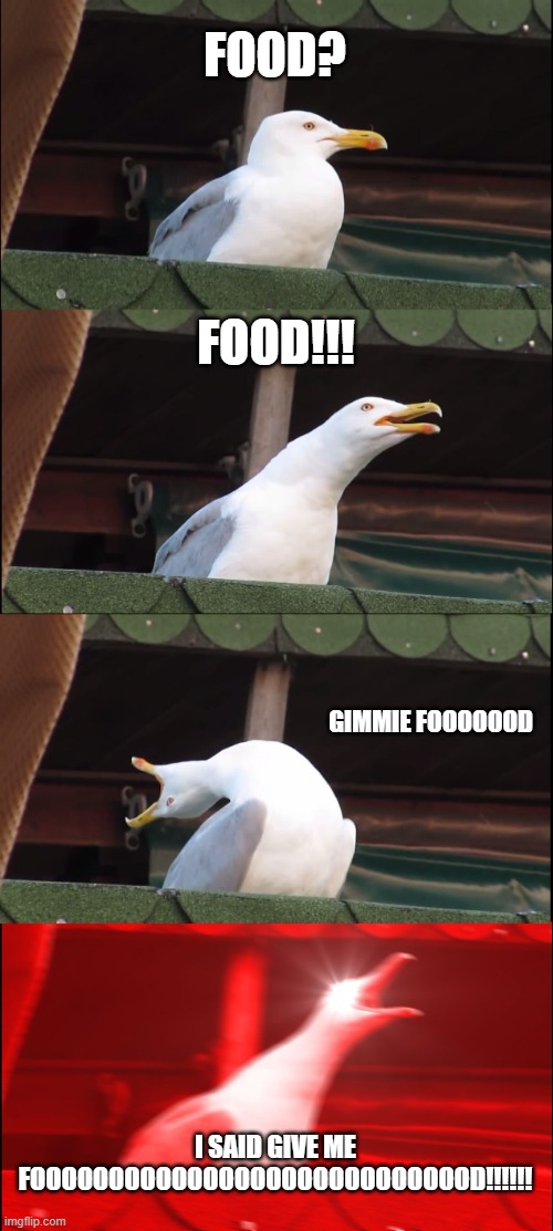 Inhaling Seagull | FOOD? FOOD!!! GIMMIE FOOOOOOD; I SAID GIVE ME FOOOOOOOOOOOOOOOOOOOOOOOOOOOOD!!!!!! | image tagged in memes,inhaling seagull | made w/ Imgflip meme maker