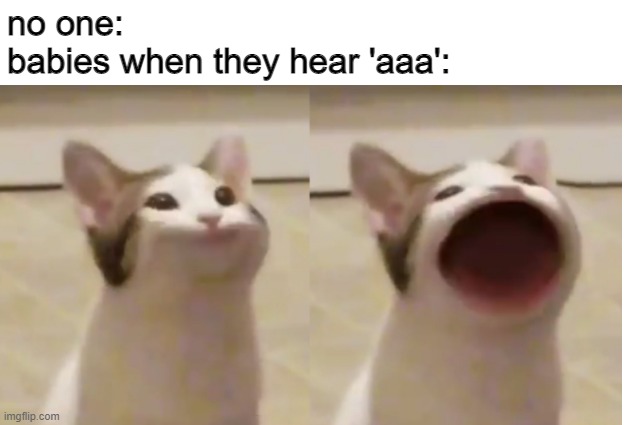 Pop cat meme