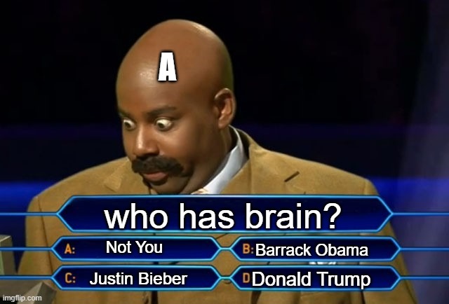 Who wants to be a millionaire? | A; who has brain? Not You; Barrack Obama; Donald Trump; Justin Bieber | image tagged in who wants to be a millionaire | made w/ Imgflip meme maker