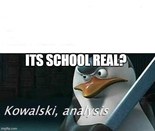 kowalski, analysis | ITS SCHOOL REAL? | image tagged in kowalski analysis | made w/ Imgflip meme maker