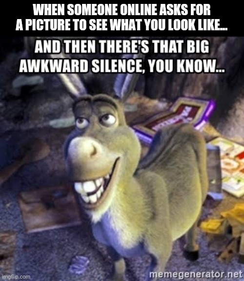 Awkward silence | WHEN SOMEONE ONLINE ASKS FOR A PICTURE TO SEE WHAT YOU LOOK LIKE... | image tagged in shrek,donkey,apps,online,online dating,awkward | made w/ Imgflip meme maker