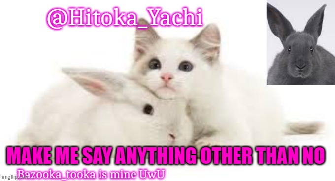 no | MAKE ME SAY ANYTHING OTHER THAN NO | image tagged in hitoka_yachi | made w/ Imgflip meme maker