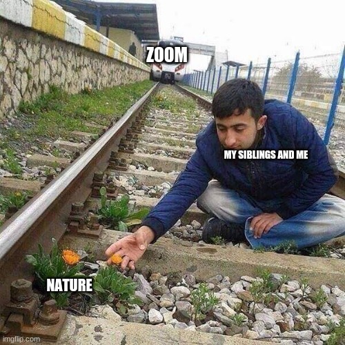 Flower Train Man | ZOOM; MY SIBLINGS AND ME; NATURE | image tagged in flower train man | made w/ Imgflip meme maker