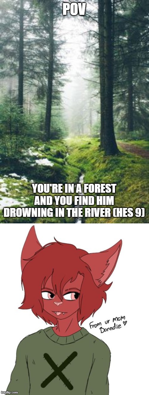 POV; YOU'RE IN A FOREST AND YOU FIND HIM DROWNING IN THE RIVER (HES 9) | made w/ Imgflip meme maker