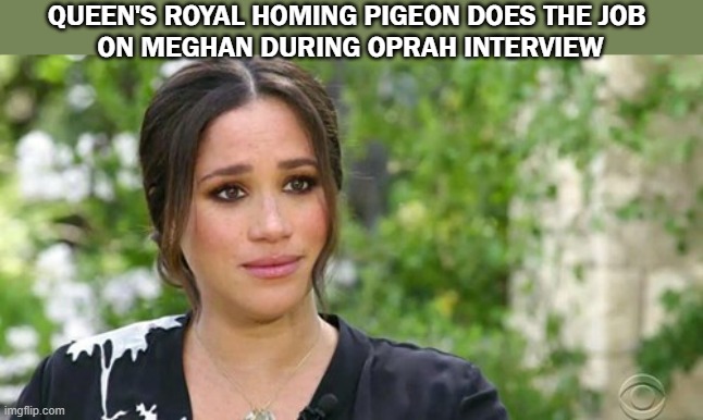 Meghan | QUEEN'S ROYAL HOMING PIGEON DOES THE JOB 
ON MEGHAN DURING OPRAH INTERVIEW | image tagged in bird,bird poop | made w/ Imgflip meme maker