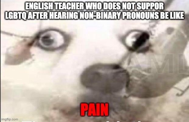 random shizpost | ENGLISH TEACHER WHO DOES NOT SUPPOR LGBTQ AFTER HEARING NON-BINARY PRONOUNS BE LIKE; PAIN | image tagged in lgbt | made w/ Imgflip meme maker