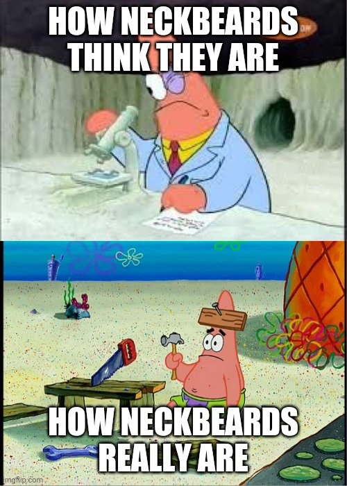 PAtrick, Smart Dumb | HOW NECKBEARDS THINK THEY ARE; HOW NECKBEARDS REALLY ARE | image tagged in patrick smart dumb,memes,neckbeard | made w/ Imgflip meme maker