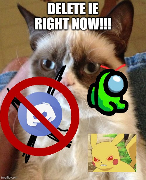 Grumpy Cat Meme | DELETE IE RIGHT NOW!!! | image tagged in memes,grumpy cat | made w/ Imgflip meme maker