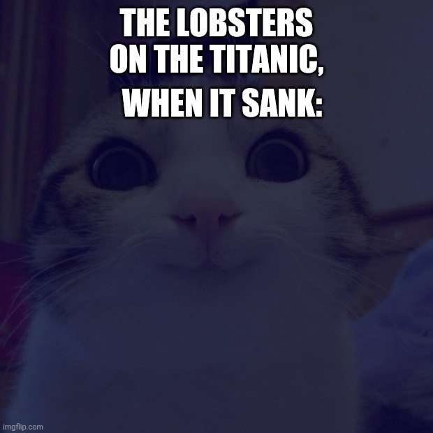 THE LOBSTERS ON THE TITANIC, WHEN IT SANK: | image tagged in smiling cat | made w/ Imgflip meme maker