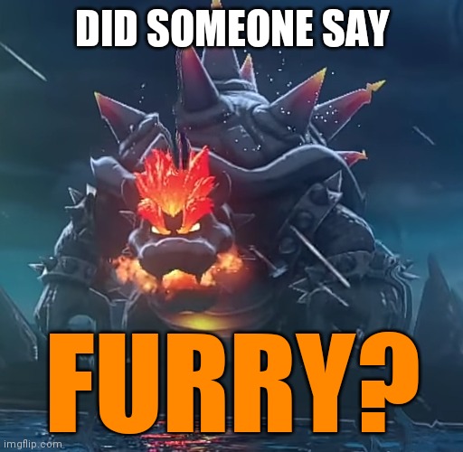 No furries | DID SOMEONE SAY; FURRY? | image tagged in bowsers fury | made w/ Imgflip meme maker