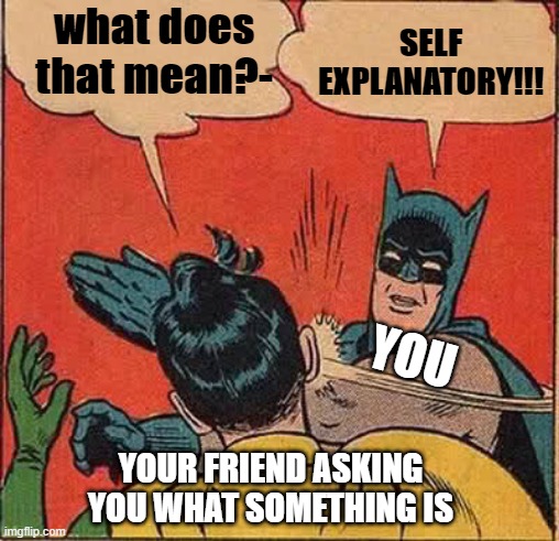 Batman Slapping Robin | what does that mean?-; SELF EXPLANATORY!!! YOU; YOUR FRIEND ASKING YOU WHAT SOMETHING IS | image tagged in memes,batman slapping robin | made w/ Imgflip meme maker
