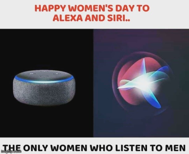Lol memes | image tagged in womens day,husband wife,funny memes,lol so funny,lolz,lol guy | made w/ Imgflip meme maker