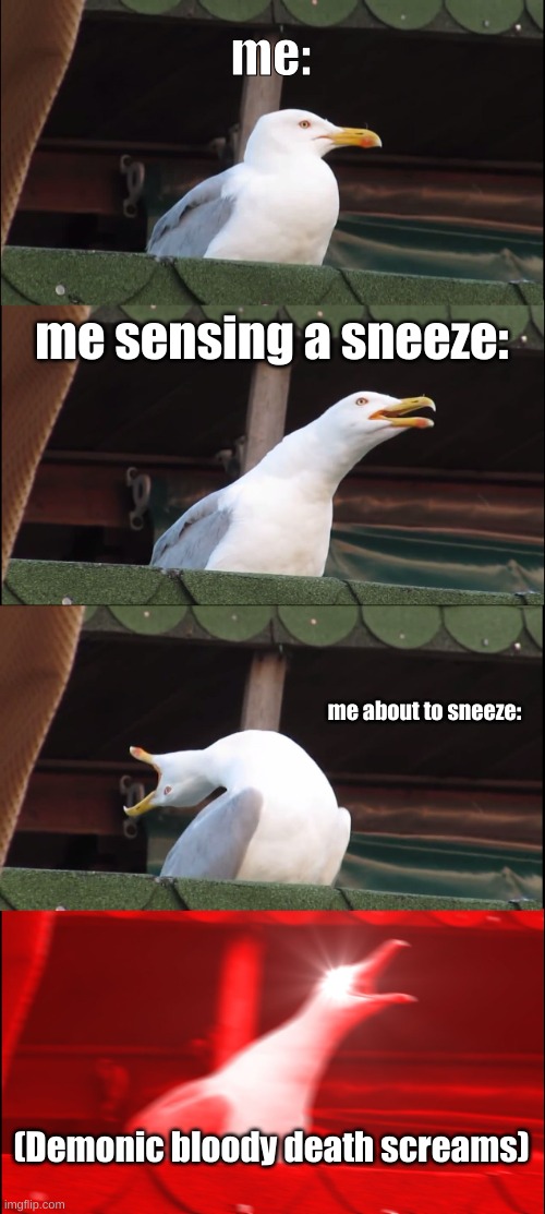 AAAAAAAACHOOOOOOOOOOOOOOOOOOOOOOOOOOOOOOOOOOOO | me:; me sensing a sneeze:; me about to sneeze:; (Demonic bloody death screams) | image tagged in memes,inhaling seagull | made w/ Imgflip meme maker