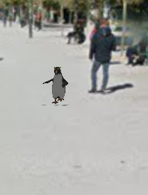 Running Pengu Blank Meme Template