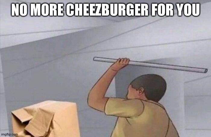 NO MORE CHEEZBURGER FOR YOU | made w/ Imgflip meme maker