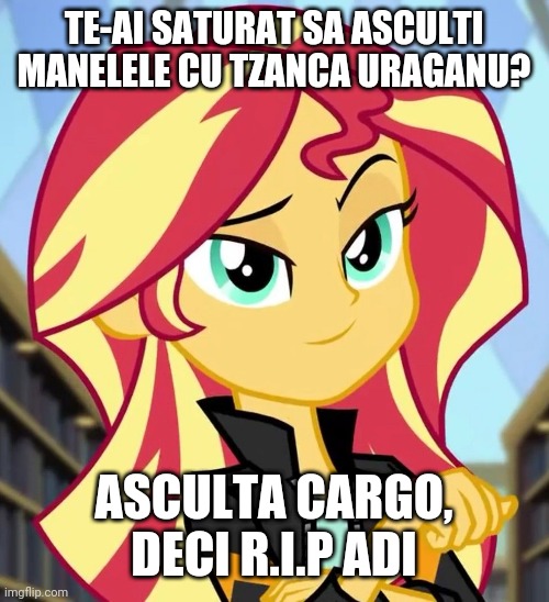 Sus Cargo jos cu Tzanca Milogul | TE-AI SATURAT SA ASCULTI MANELELE CU TZANCA URAGANU? ASCULTA CARGO, DECI R.I.P ADI | image tagged in just sunset,memes,funny,rock,cargo | made w/ Imgflip meme maker