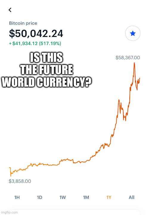 The Great Economic Reset? | IS THIS THE FUTURE WORLD CURRENCY? | image tagged in bitcoin,crypto,money,currency | made w/ Imgflip meme maker