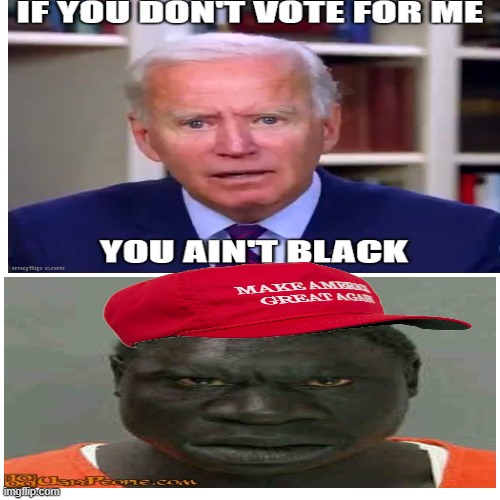 You ain't black | image tagged in joe biden,black prisoner | made w/ Imgflip meme maker
