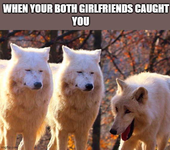 Grump Wolves | WHEN YOUR BOTH GIRLFRIENDS CAUGHT; YOU | image tagged in grump wolves | made w/ Imgflip meme maker