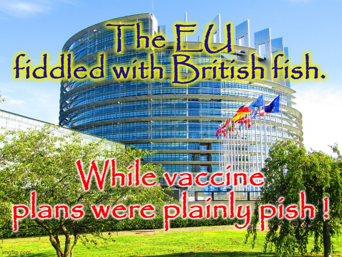 The EU fiddled ! | The EU
fiddled with British fish. While vaccine plans were plainly pish ! | image tagged in you have become the very thing you swore to destroy | made w/ Imgflip meme maker