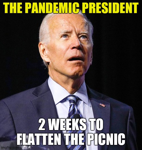 Pandemic president | THE PANDEMIC PRESIDENT; 2 WEEKS TO FLATTEN THE PICNIC | image tagged in joe biden,pandemic president,senile,lost old man,kylie minogue is a horrendous ditchpig | made w/ Imgflip meme maker